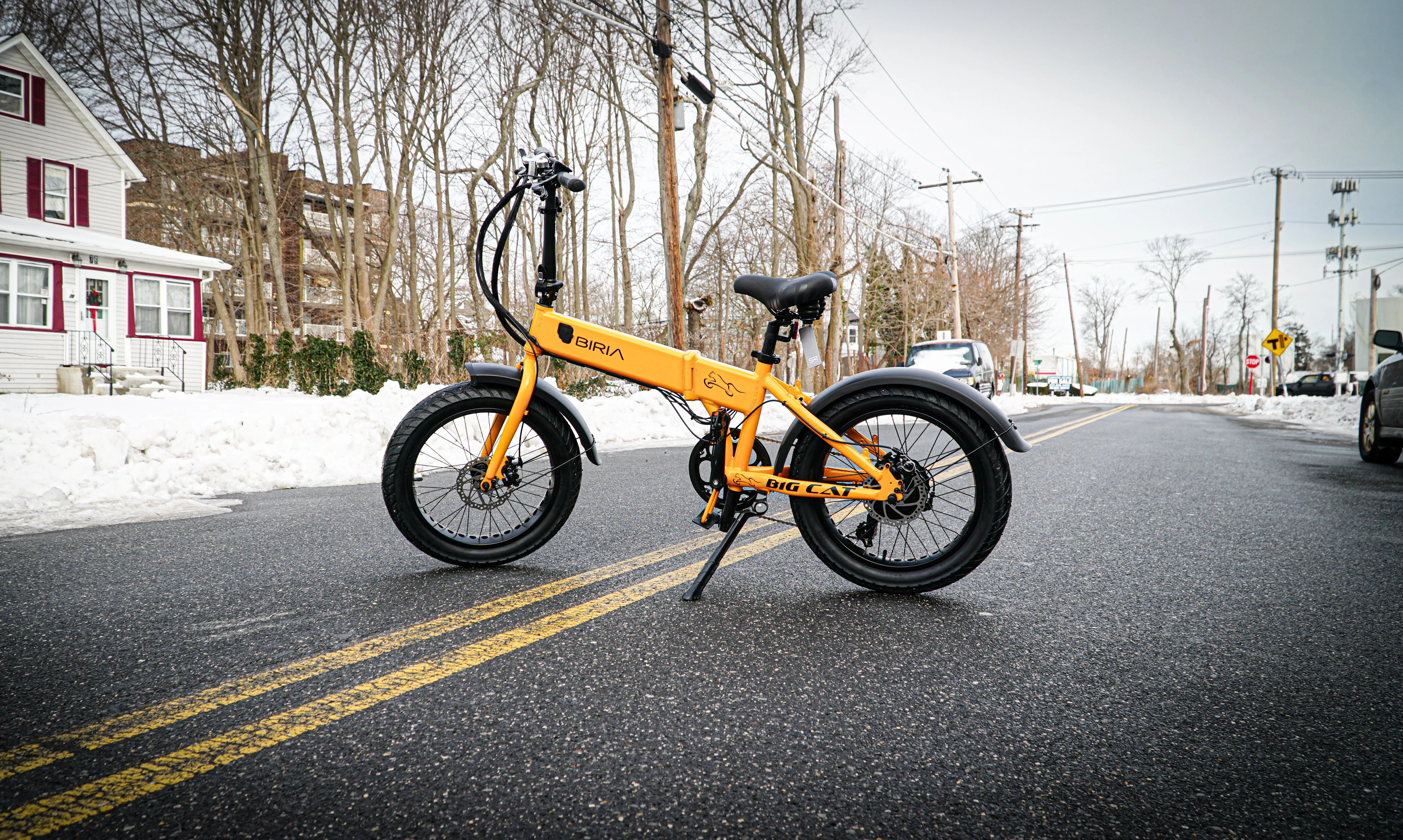 Big Cat 2025 BIRIA 500 XL Fat Tire - Folding Electric Bike